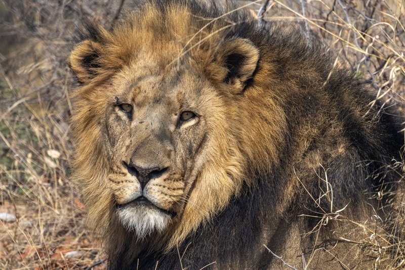 Fotoreise Botswana
