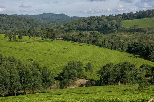 Fotoreise Uganda 2026 – Die Perle Afrikas | ©Rainer Skrovny