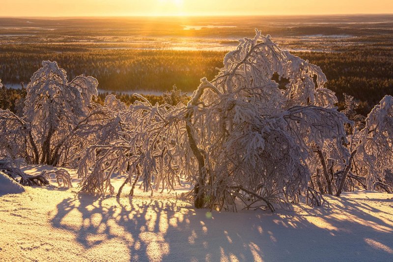 Fotoreise Lappland und Fjorde - Nordlicht im hohen Norden Europas Fotoreise Lappland und Fjorde - Nordlicht im hohen Norden Europas