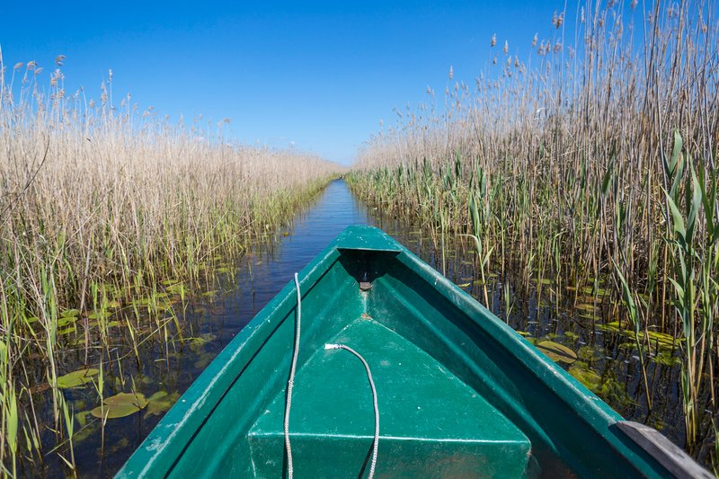 Fotoreise Donaudelta